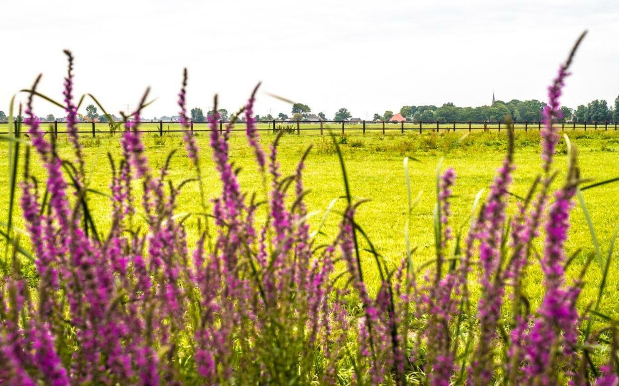 Bed & Breakfast "Bij Lucie" Wijtgaard Eksteriør billede